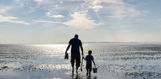 Vakantiepark De Zeeuwse Parel Check
