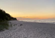 Camping Stubbenfelde